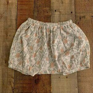 Peek toddler baby unisex koala pull on shorts with elastic band and legs -18/24